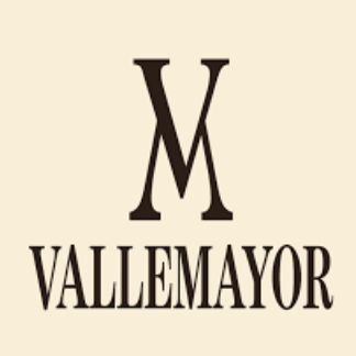 (image for) Bodegas Vallemayor Vallemayor Gran Reserva 1995